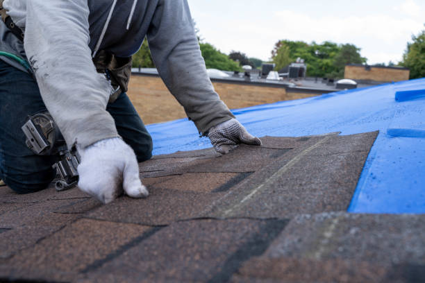 Best Roof Repair Services  in Yucos, CA